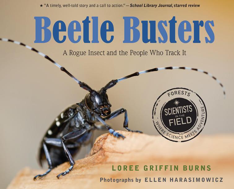 Beetle Busters, Scientists in the Field