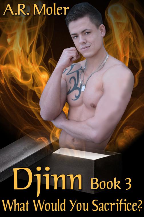 Djinn 3: What Would You Sacrifice?, Djinn