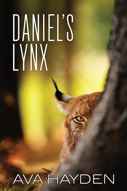 Daniel&#x27;s Lynx