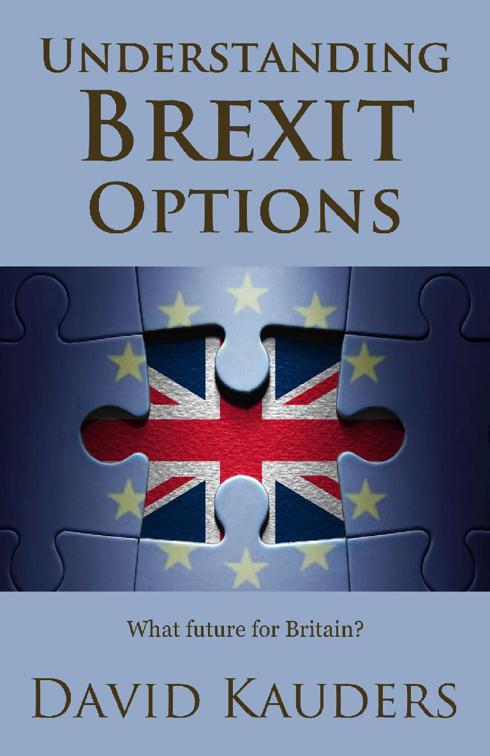 This image is the cover for the book Understanding Brexit Options