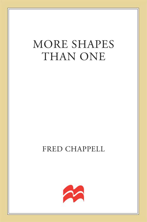 More Shapes Than One