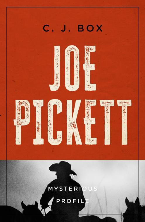 Joe Pickett, Mysterious Profiles