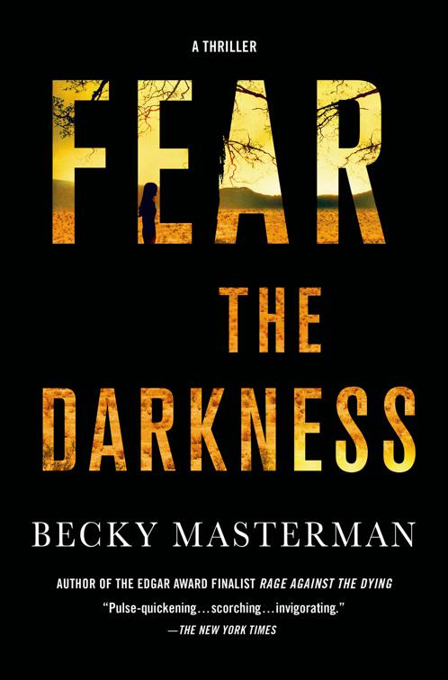 Fear the Darkness, Brigid Quinn Series