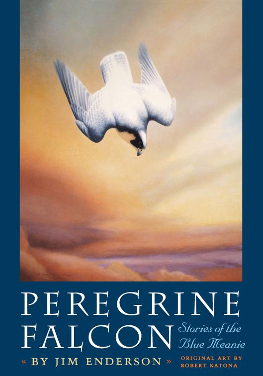 Peregrine Falcon, Corrie Herring Hooks Series