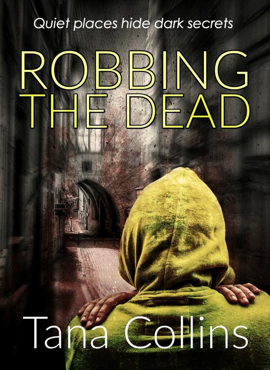 Robbing the Dead, The Inspector Jim Carruthers Thrillers