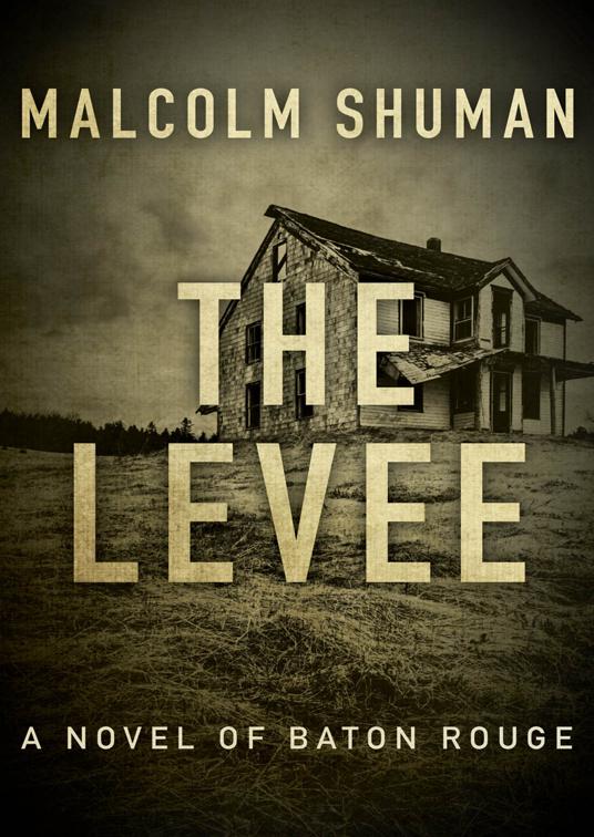 Levee