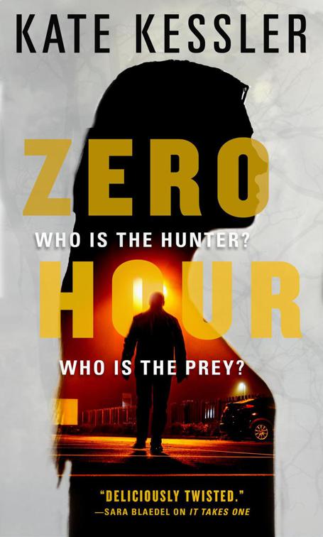 Zero Hour, The Audrey Harte Novels