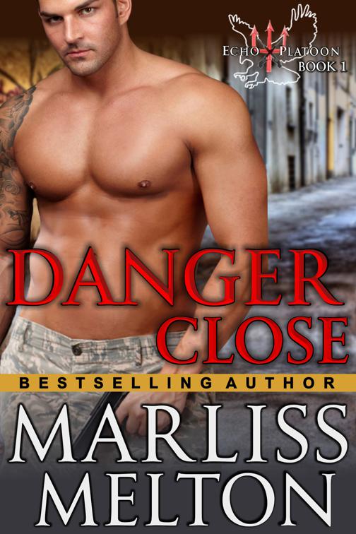 Danger Close (The Echo Platoon Series, Book 1), The Echo Platoon Series