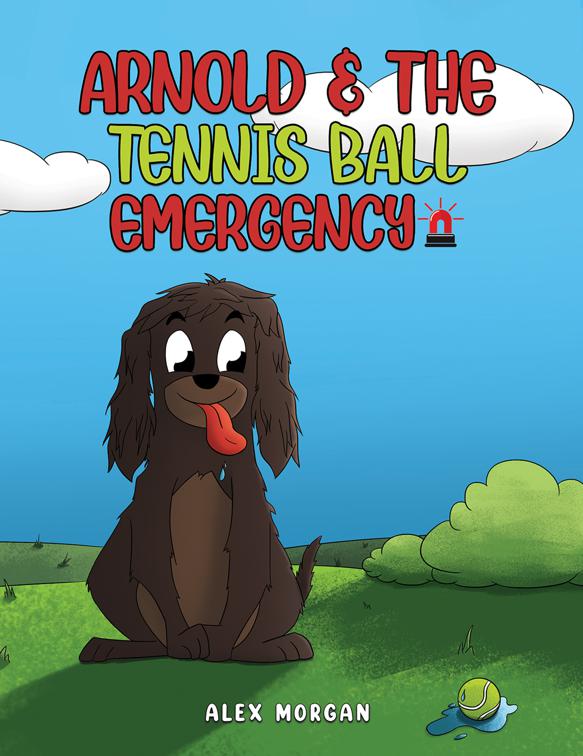 Arnold &amp; The Tennis Ball Emergency