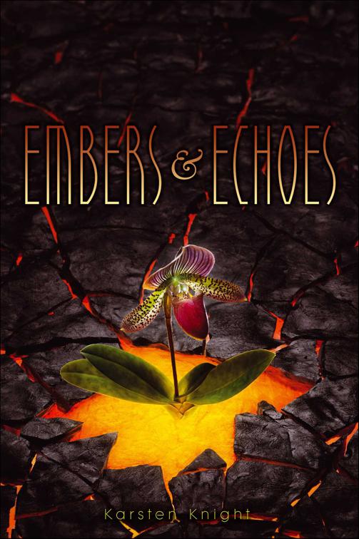 Embers &amp; Echoes, Wildefire