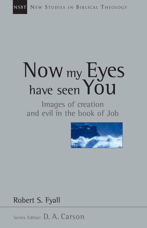 Now My Eyes Have Seen You, New Studies in Biblical Theology
