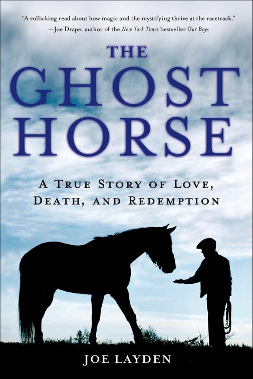 Ghost Horse