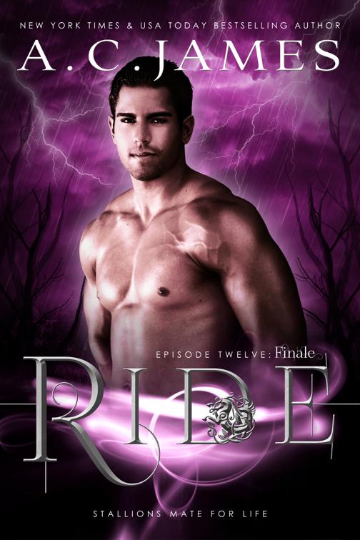 This image is the cover for the book Ride: Finale, Puca Mates