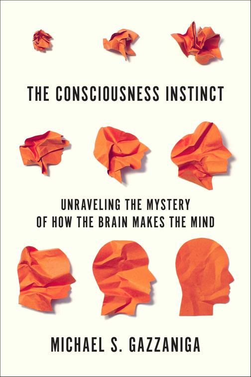 Consciousness Instinct