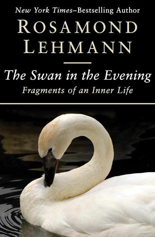 Swan in the Evening