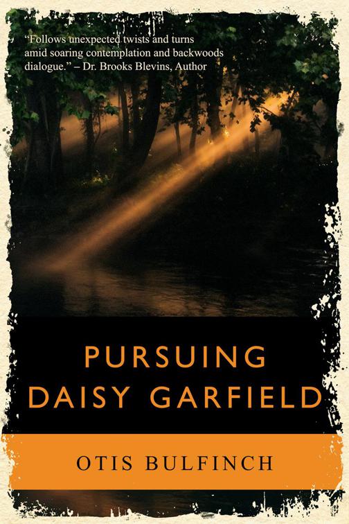 This image is the cover for the book Pursuing Daisy Garfield