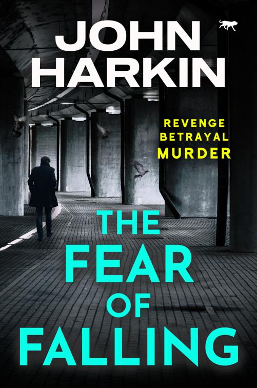 Fear of Falling, The DI Kidston Crime Thrillers