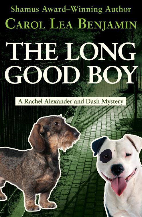 Long Good Boy, The Rachel Alexander and Dash Mysteries