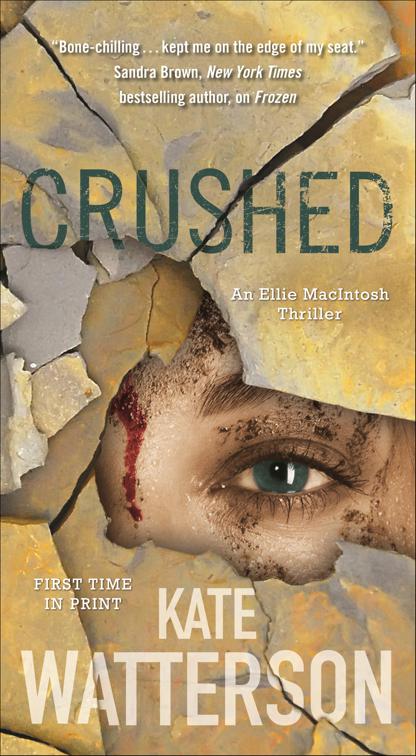 Crushed, Detective Ellie MacIntosh