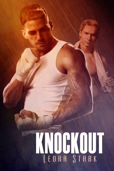 This image is the cover for the book Knockout