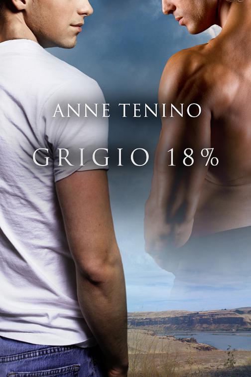 Grigio 18%, Task Force Iota