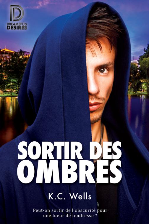 Sortir des ombres, Dreamspun Desires (Français)