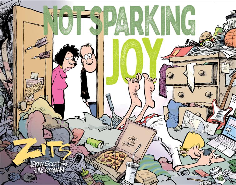 Not Sparking Joy, Zits