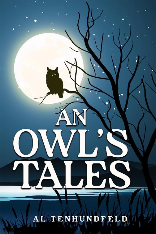 An Owl&#x27;s Tales