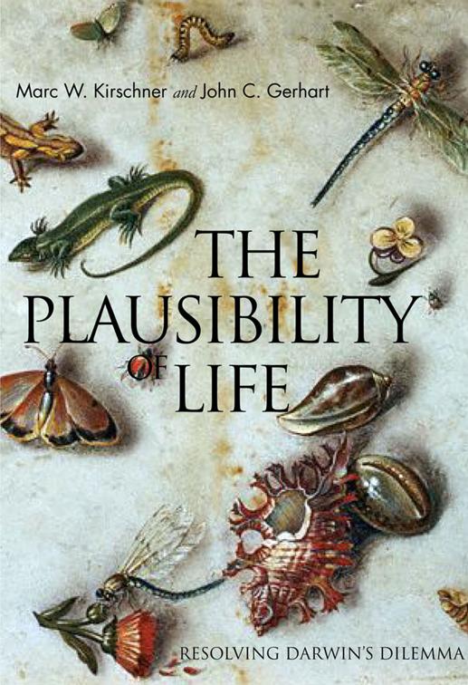 Plausibility of Life