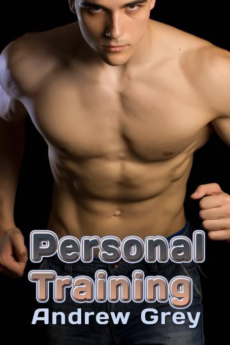 This image is the cover for the book Personal Training, Work Out Series