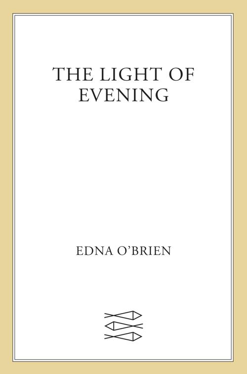 Light of Evening