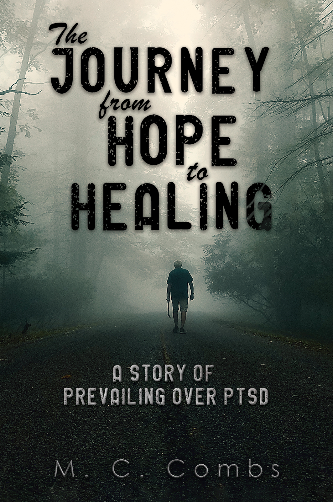 This image is the cover for the book The Journey from Hope to Healing