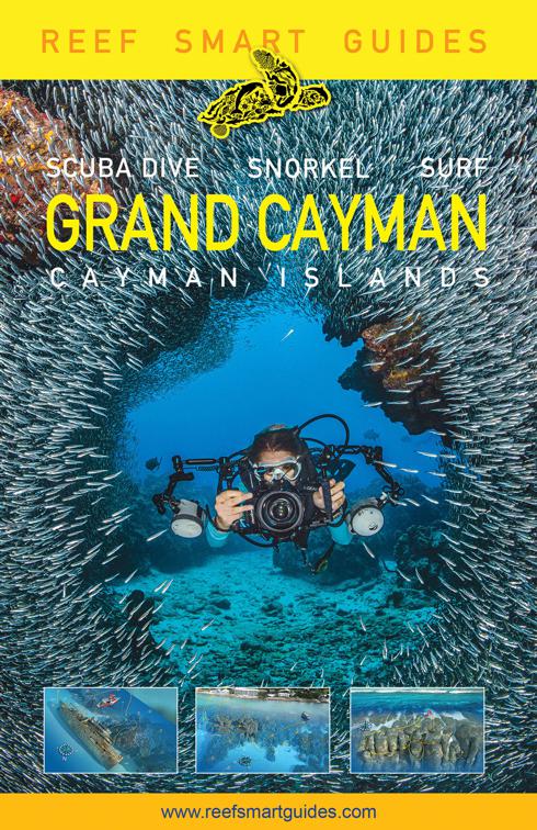 Reef Smart Guides Grand Cayman, Reef Smart Guides