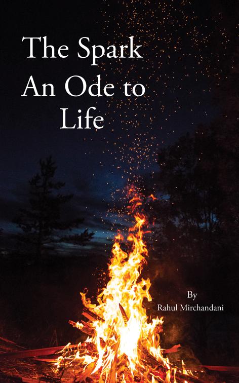 The Spark: An Ode to Life