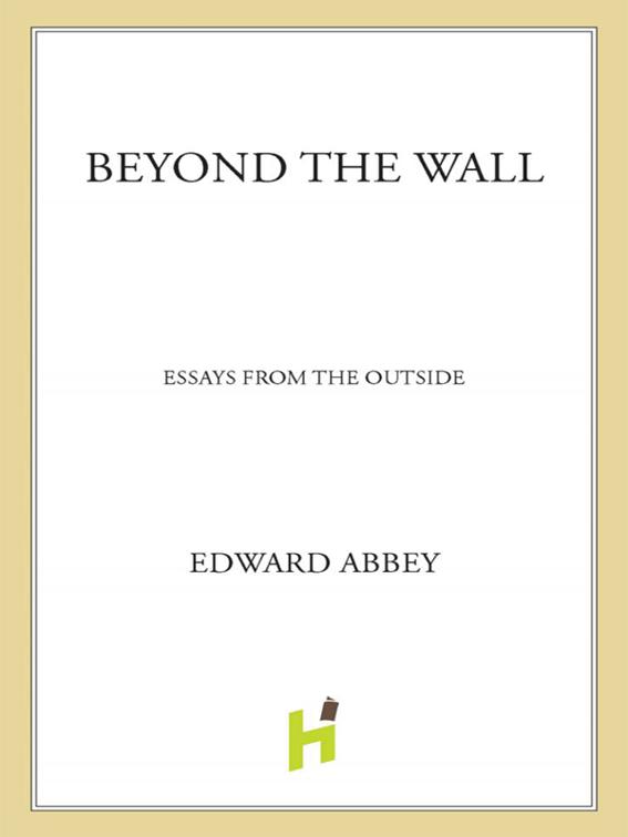 Beyond the Wall