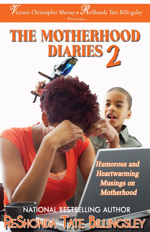 The Motherhood Diaries 2