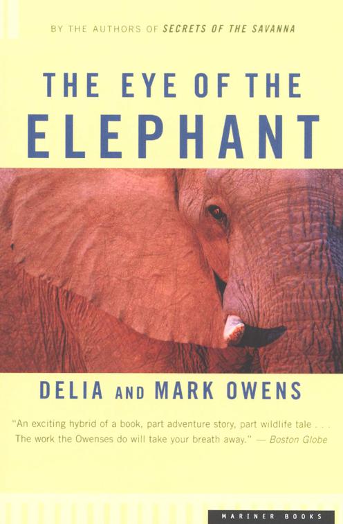 Eye of the Elephant