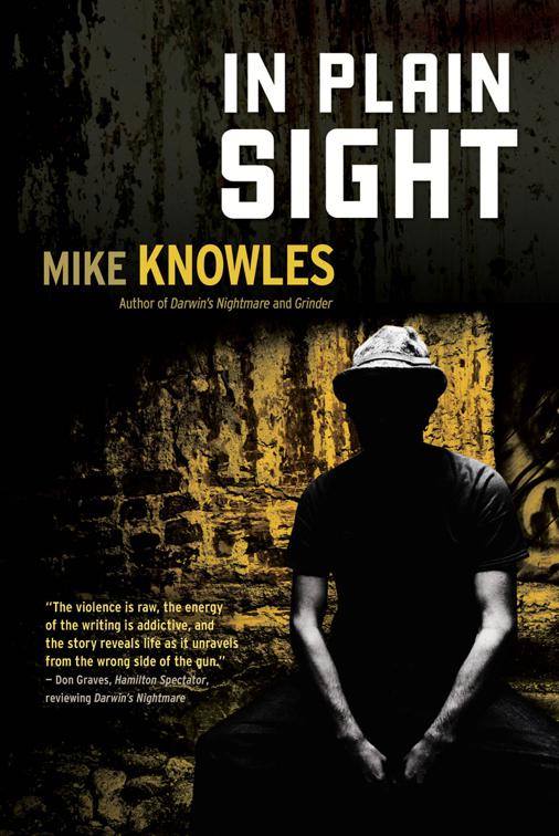 In Plain Sight, A Wilson Mystery