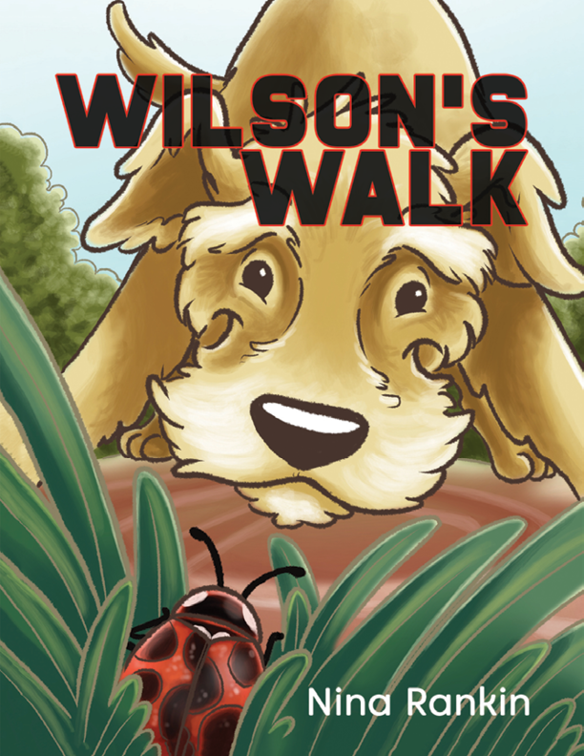 Wilson&#x27;s Walk