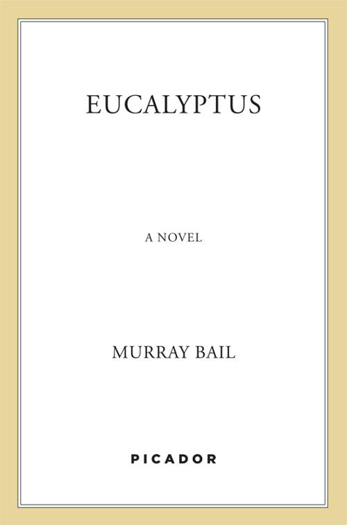 Eucalyptus