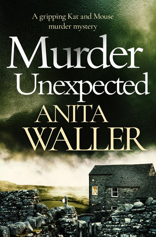 Murder Unexpected, The Kat and Mouse Murder Mysteries