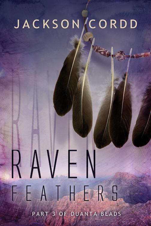 This image is the cover for the book Raven Feathers, Quantinum Residue Saga