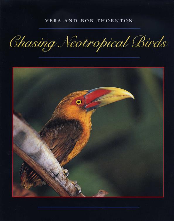 Chasing Neotropical Birds, Corrie Herring Hooks Series