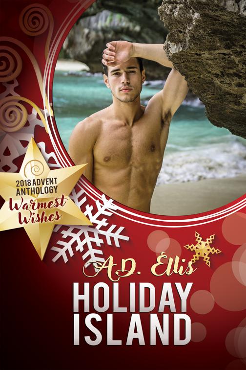 This image is the cover for the book Holiday Island, 2018 Advent Calendar - Warmest Wishes