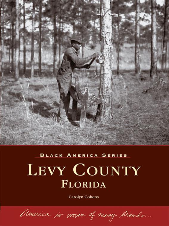 Levy County, Florida, Black America Series