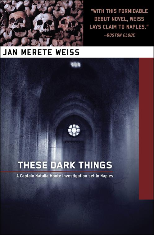 These Dark Things, The Captain Natalia Monte Series
