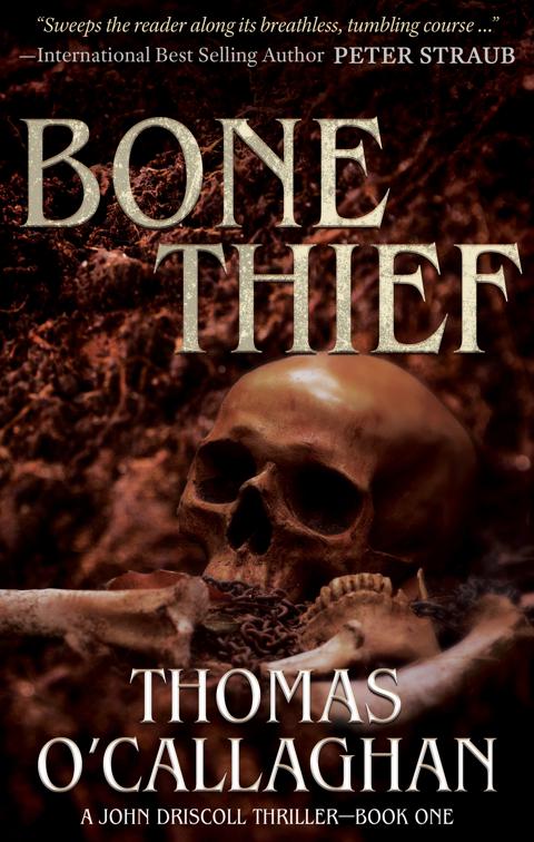 Bone Thief, The John Driscoll Thrillers