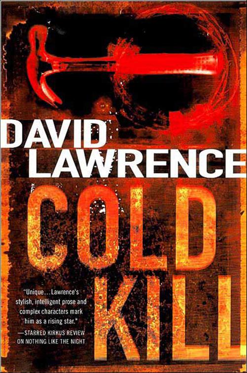 Cold Kill, Detective Stella Mooney Novels