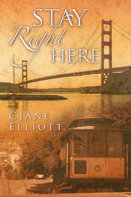 This image is the cover for the book Stay Right Here