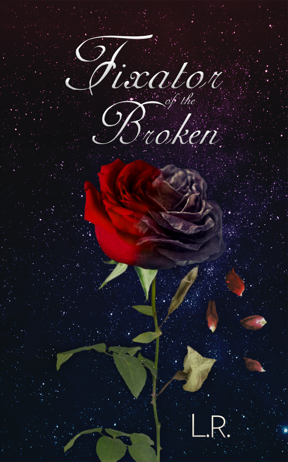 Fixator of the Broken